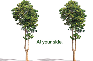 eco-friendly